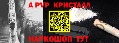 СК Будённовск