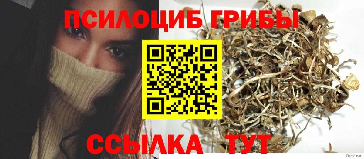 Галлюциногенные грибы мухоморы Благовещенск