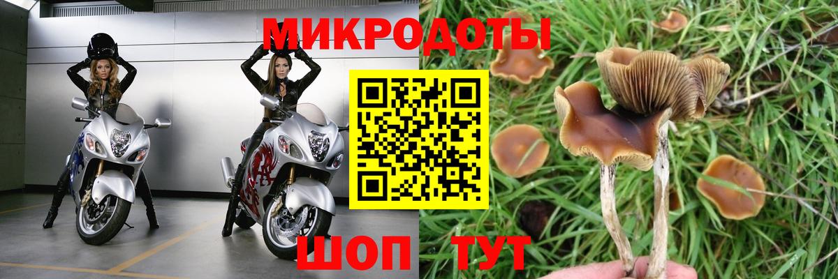 Галлюциногенные грибы мицелий  Галлюциногенные грибы Cubensis  Вход с VPN  Благовещенск 